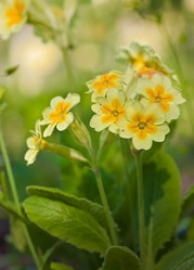 Similar image 445901