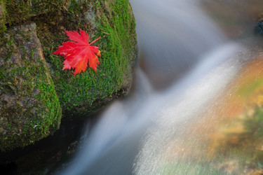 Similar image 445902