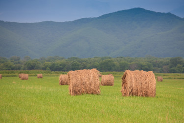 Similar image 445905