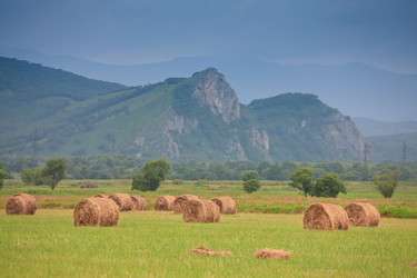 Similar image 445906