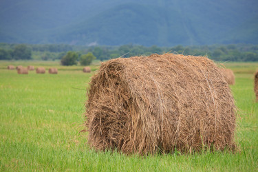 Similar image 445911