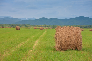 Similar image 445913