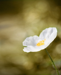 Similar image 445916