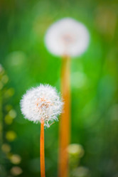 Similar image 445917