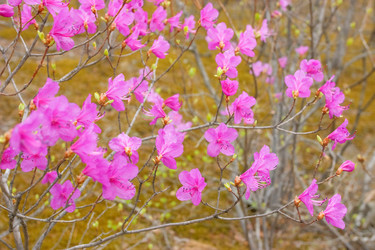 Similar image 445923