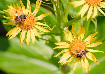 Similar image 445924