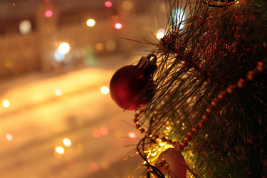 Similar image 445925