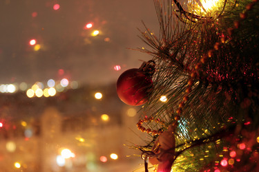 Similar image 445926