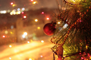 Similar image 445928