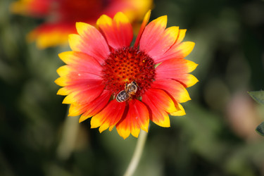 Similar image 445930