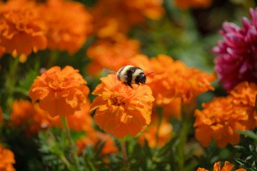 Similar image 445951