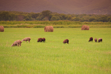 Similar image 445955