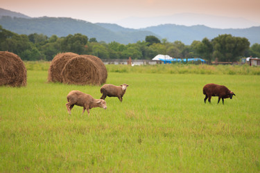 Similar image 445957