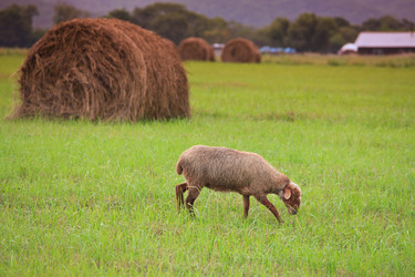 Similar image 445965