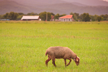 Similar image 445966