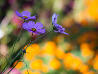 Similar image 445973