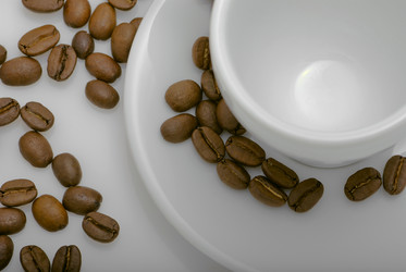 Similar image 445989