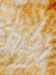 Similar image 446046