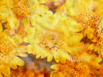 Similar image 446059