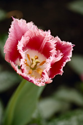 Similar image 446068