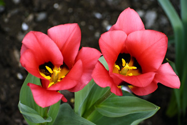 Similar image 446090