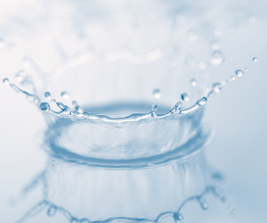 Similar image 446096