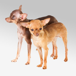 Similar image 446102