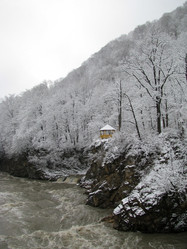 Similar image 446130