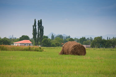 Similar image 446139