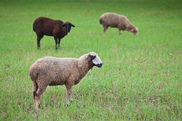 Similar image 446143