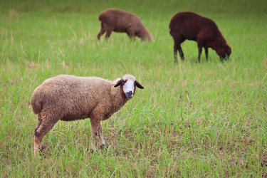 Similar image 446147