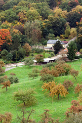 Similar image 446154