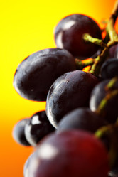 Similar image 446211