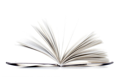 Similar image 446264