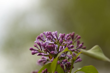 Similar image 446318