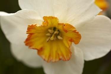 Similar image 446327