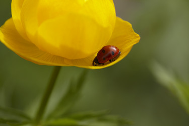 Similar image 446335