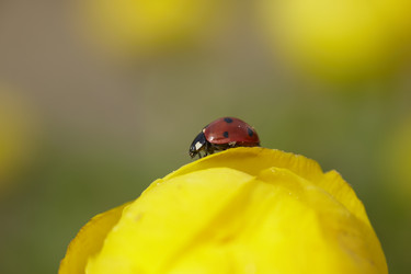 Similar image 446337