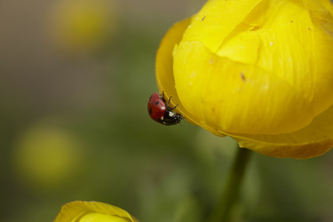 Similar image 446339