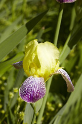 Similar image 446345