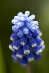 Similar image 446349