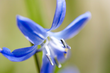 Similar image 446351