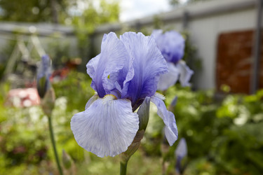 Similar image 446353