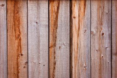 Similar image 446396