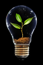 Similar image 446595