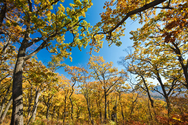 Similar image 446672