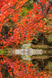 Similar image 446678