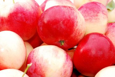 Similar image 446805