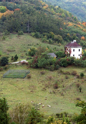 Similar image 446903