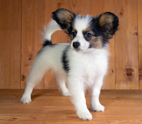 Similar image 446910